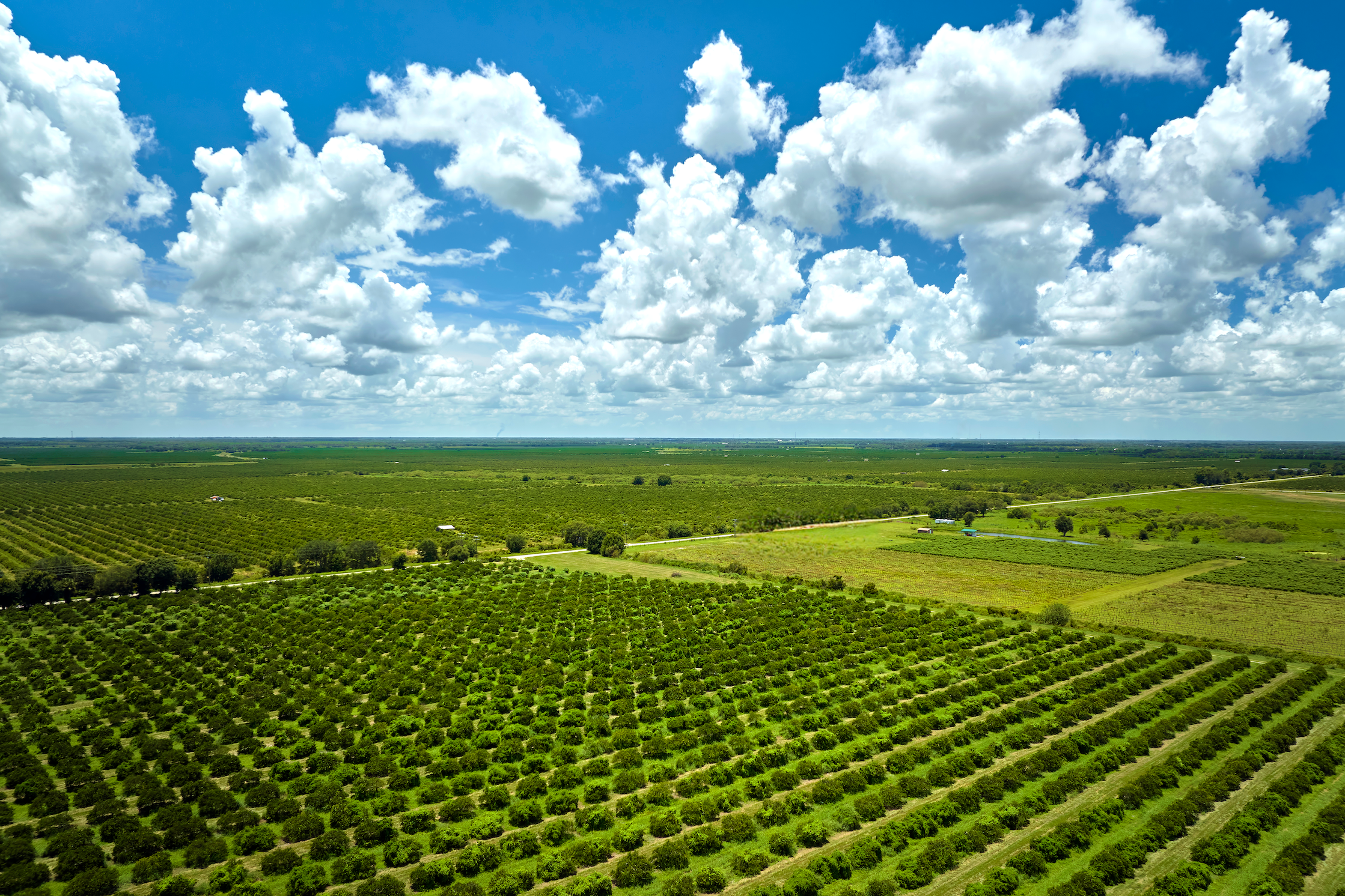 Sensoriamento por satélites, a tecnologia que impulsiona florestas plantadas e lavouras
