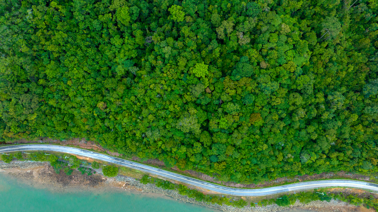 Forest Watch transforma inteligências geoespacial e artificial em monitoramento florestal de precisão