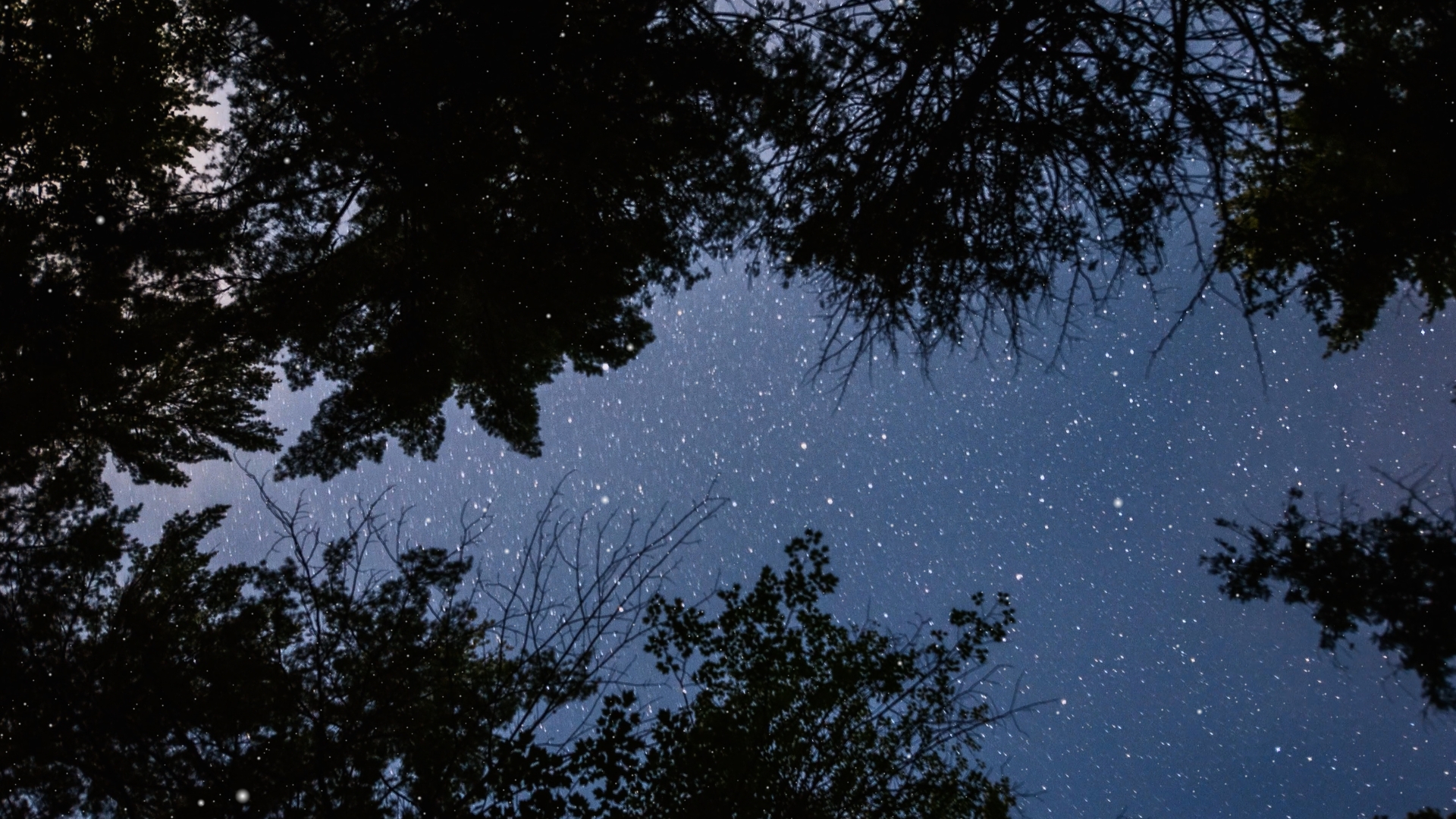 Onde começa a responsabilidade individual