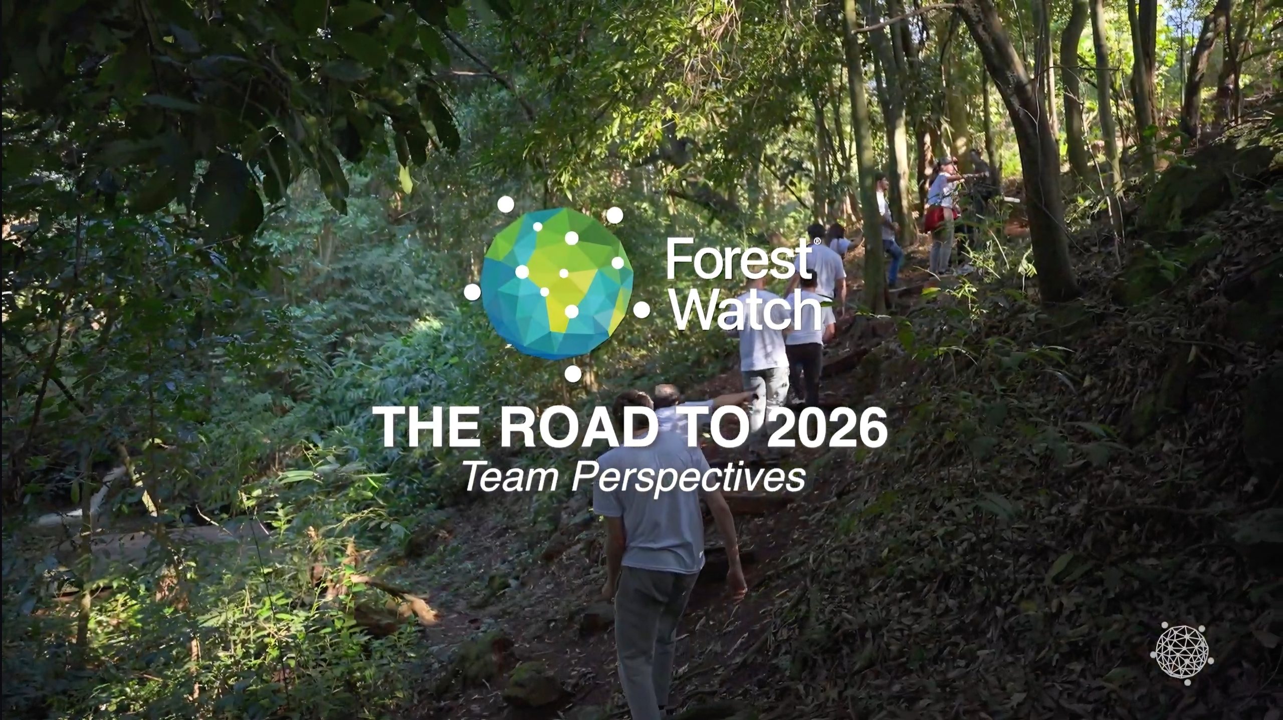 Perspetivas da equipe para 2026